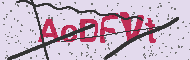Captcha認証コード